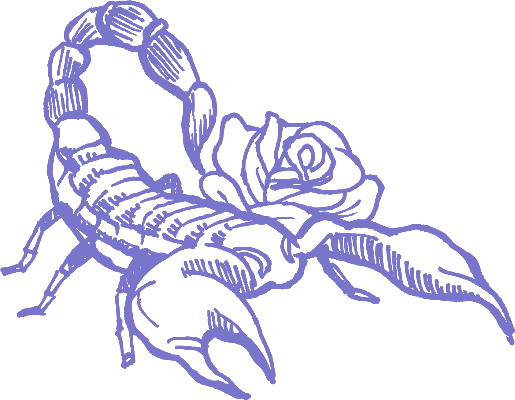 Scorpio – The Mysterious High Roller